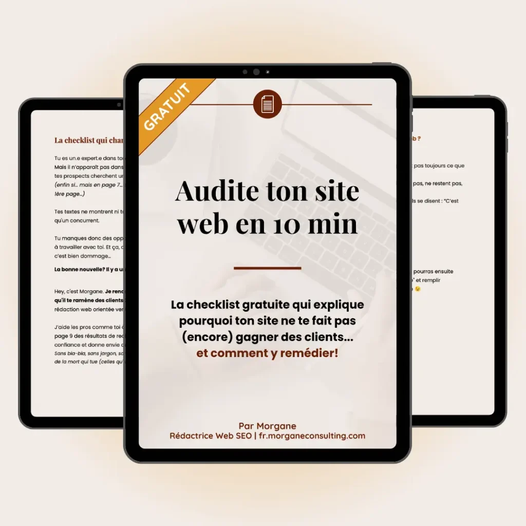 Audite ton site web en 10 min PDF Gratuit