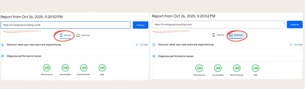 PageSpeedInsight Morgane
