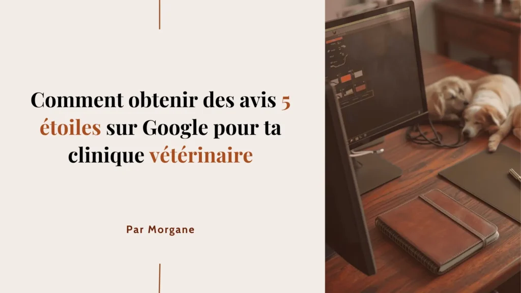 Comment obtenir des avis 5 étoiles sur Google pour ta clinique vétérinaire