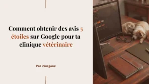 Comment obtenir des avis 5 étoiles sur Google pour ta clinique vétérinaire